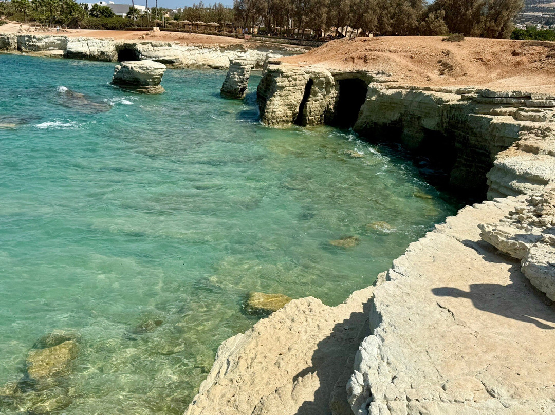 Edro III Shipwreck-Peyia必去景点