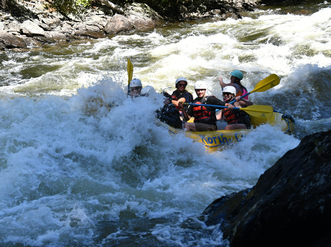 North Country Rivers-Bingham必去景点