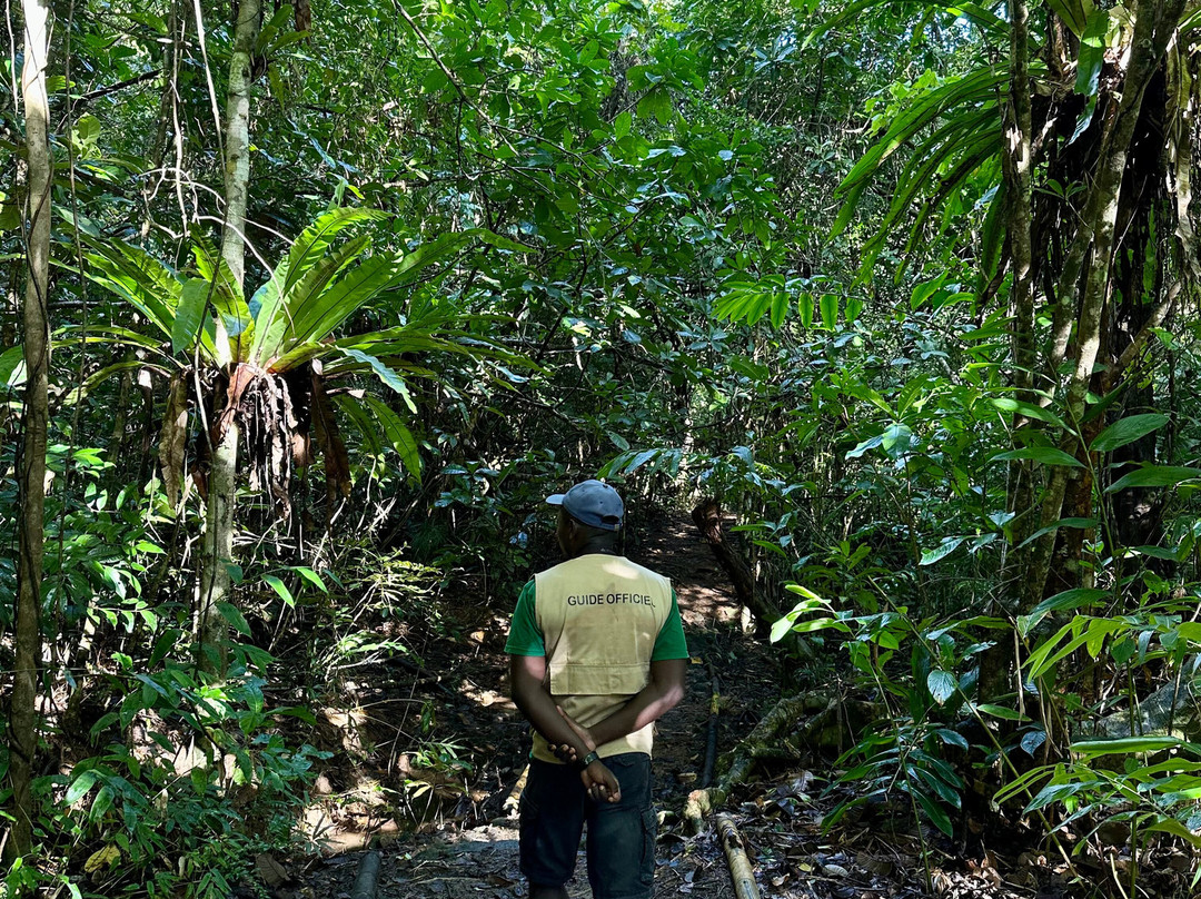 Masoala Travel Guide-Maroantsetra必去景点