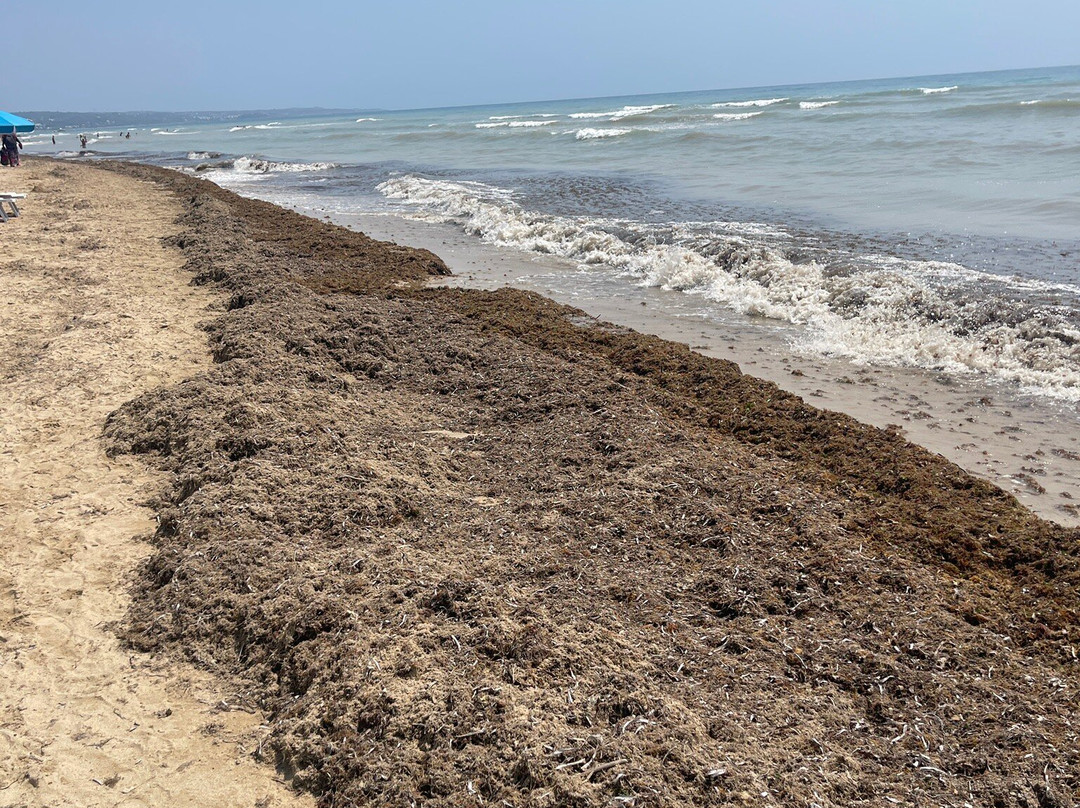 Le Seychelles del Salento-Salve必去景点