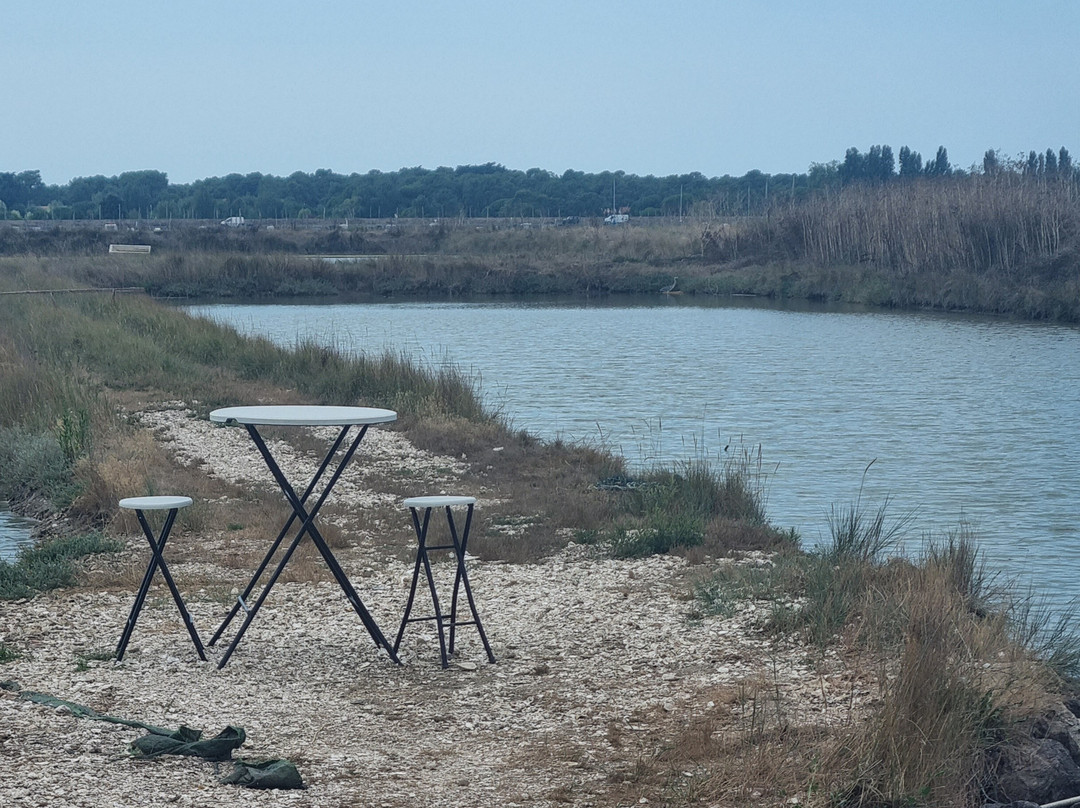 Huitres Chez Greg-L'Aiguillon-sur-Mer必去景点