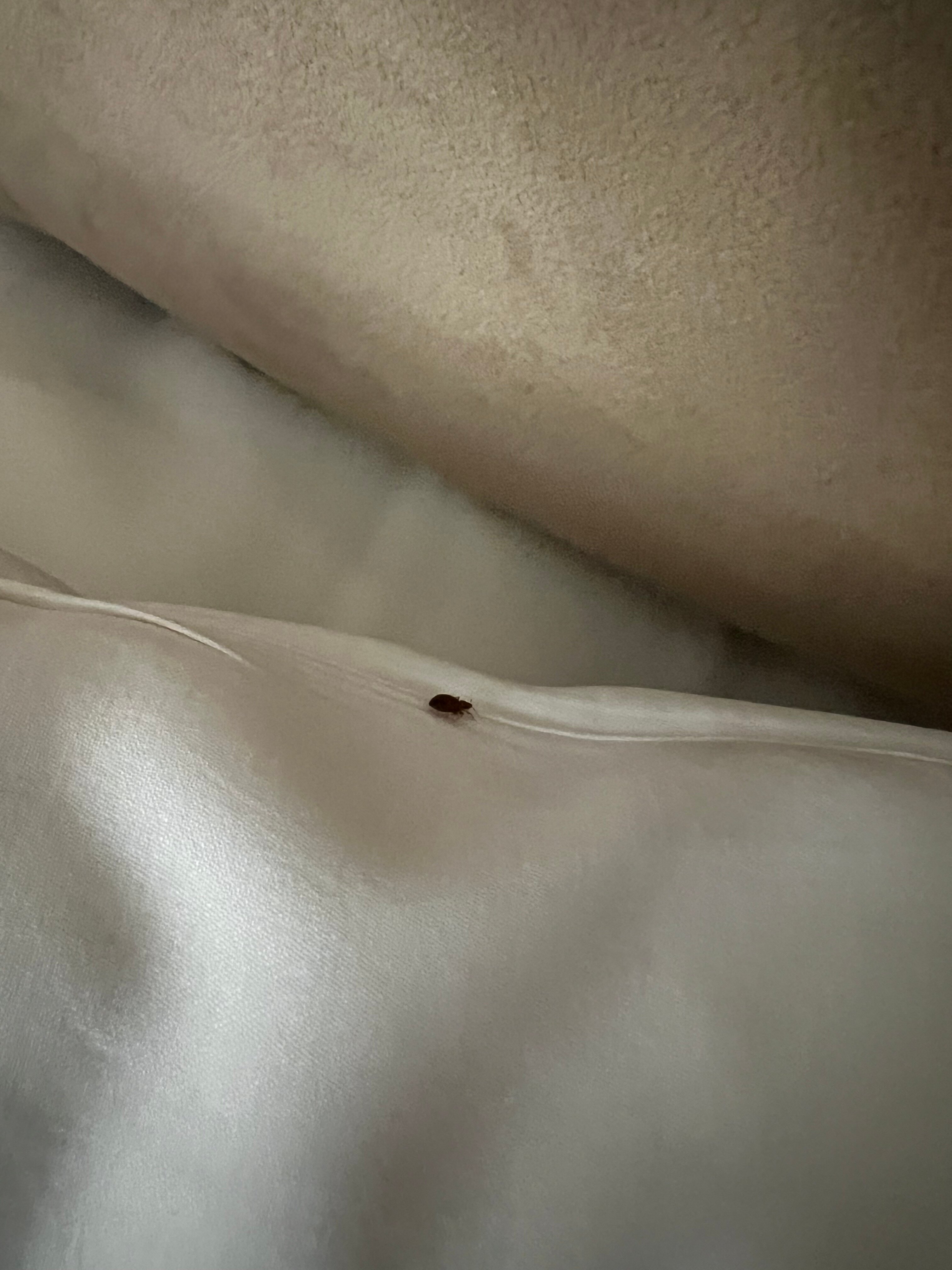 Great Polonia Kraków Old Town-官方