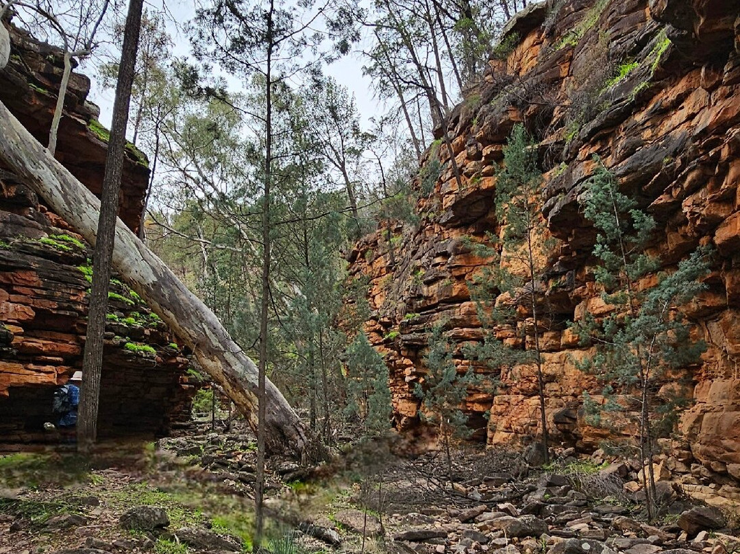 Alligator Gorge-Wilmington必去景点