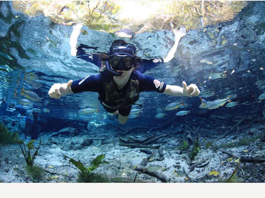 Aquario Natural-博尼图必去景点