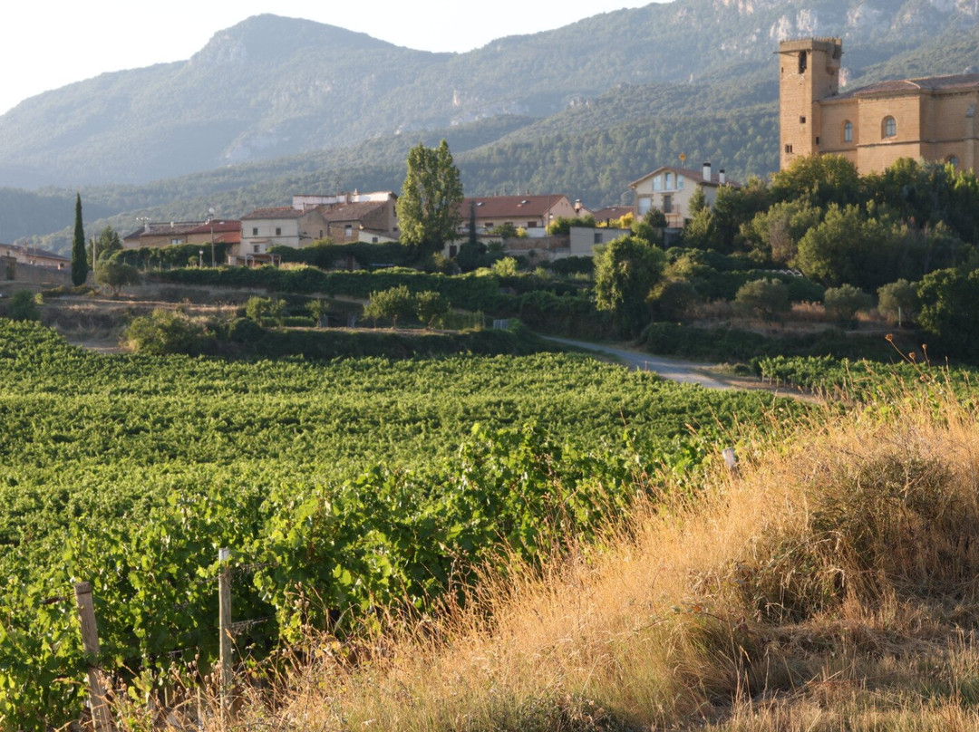 萨马涅戈宫酒店主图