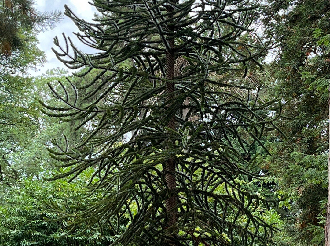 Arley Arboretum & Gardens-Upper Arley必去景点