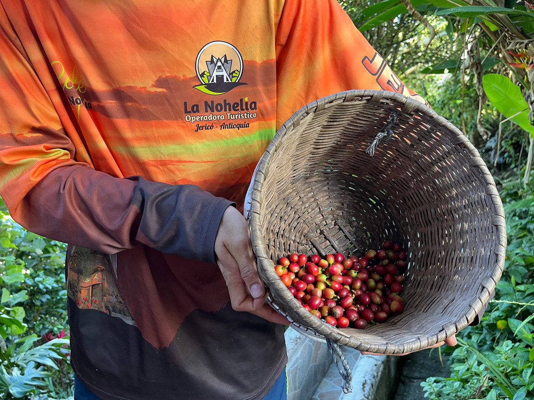 Ecoturismo La Nohelia-Jerico必去景点