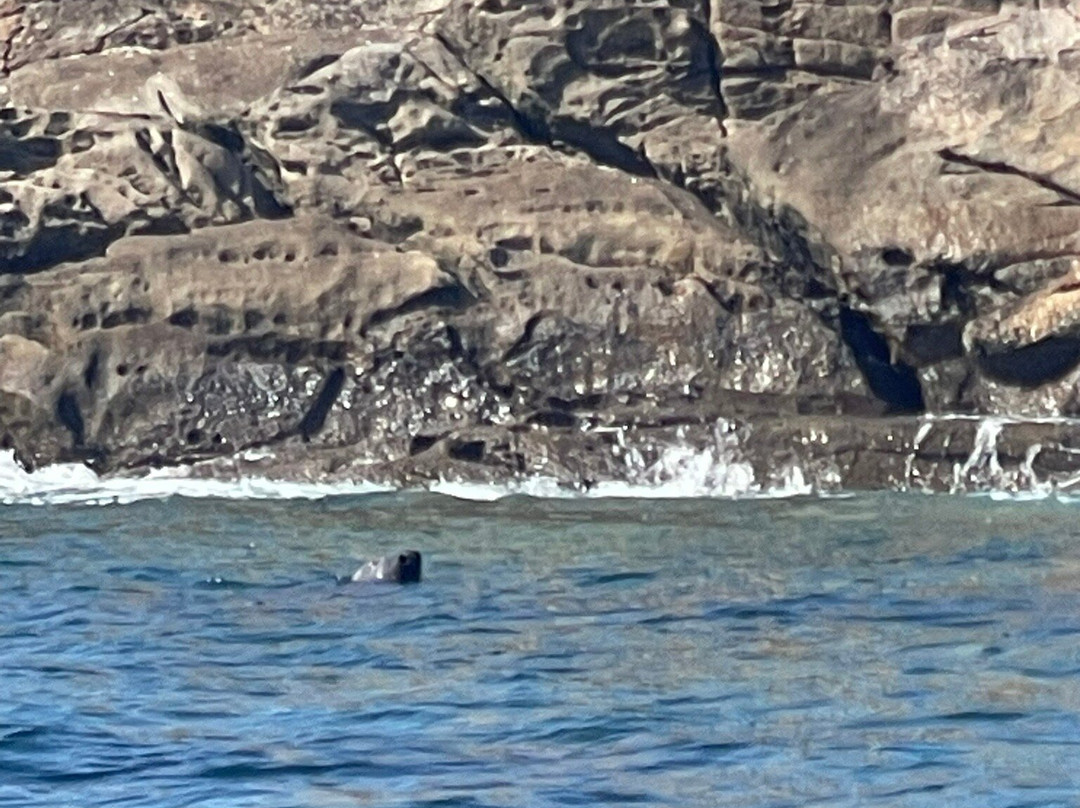 Tour de l'île d'HOËDIC-Hoedic必去景点