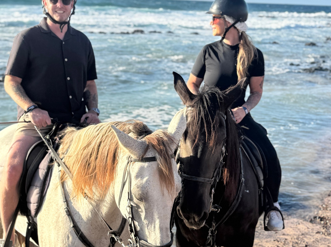 Lanzarote a Caballo-兰萨罗特必去景点