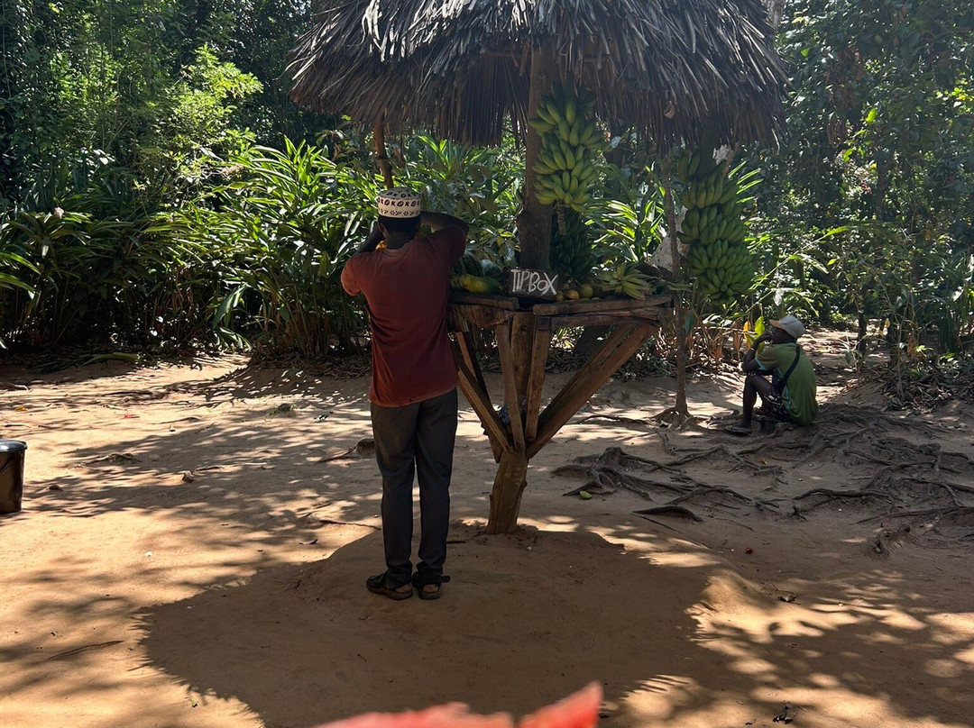 Unique Zanzibar Tours-桑给巴尔岛必去景点