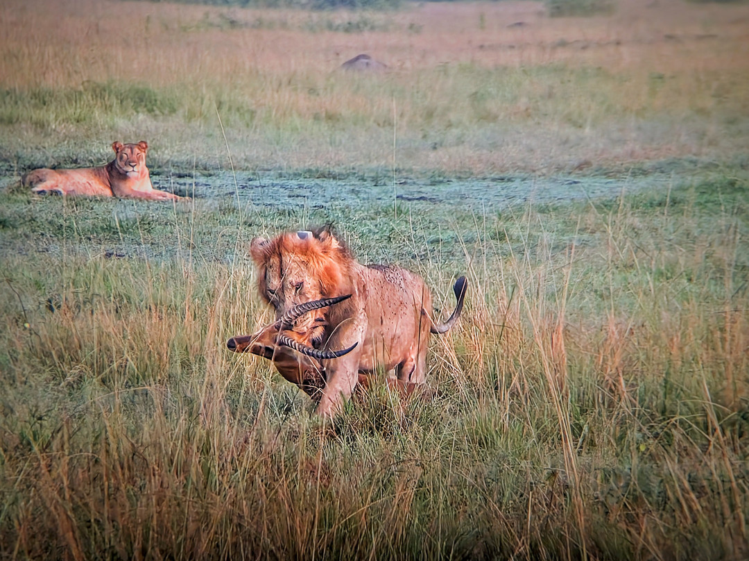 Prime Safaris & Tours-坎帕拉必去景点