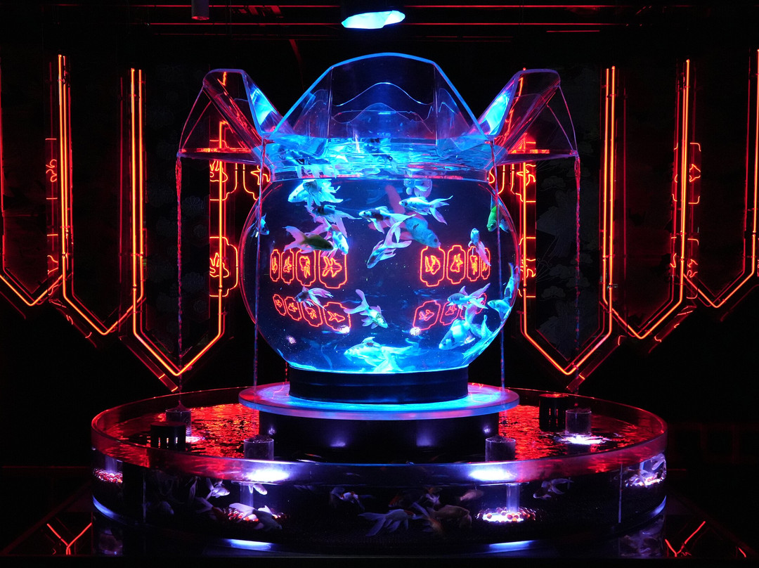 Art Aquarium-Ginza必去景点