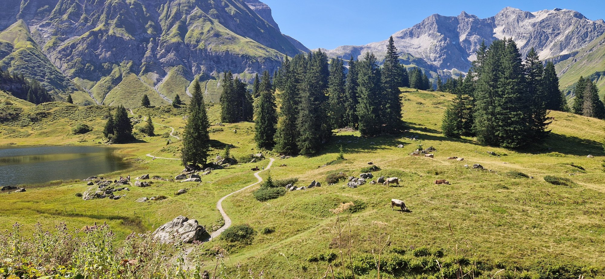 Berghotel Koerbersee-官方