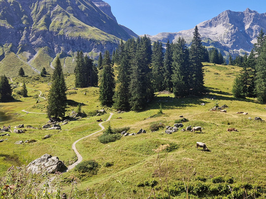 Berghotel Koerbersee主图