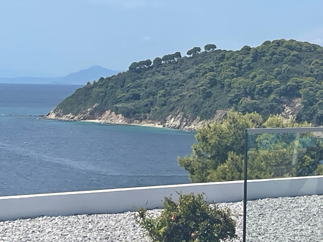 斯基亚索斯岛宫殿酒店主图