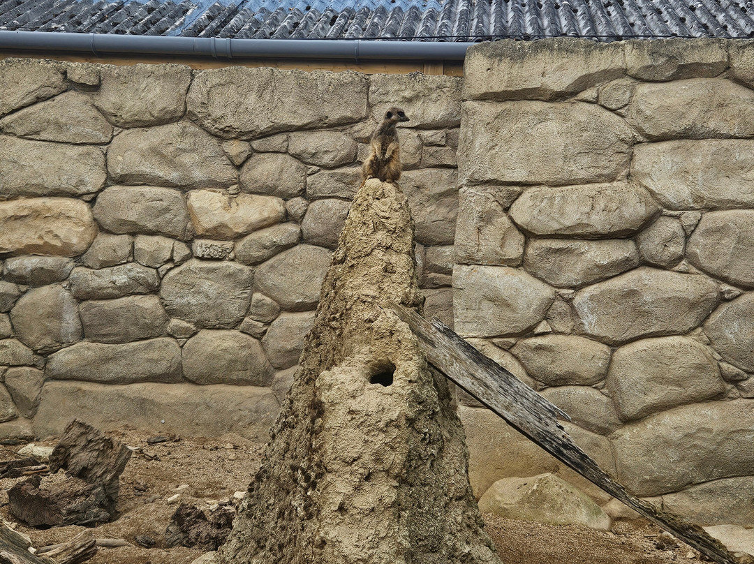 Crocodiles of the World-Brize Norton必去景点