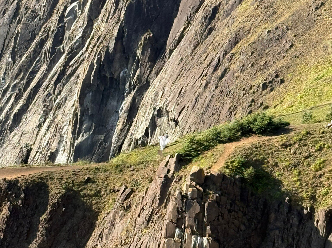 Neahkahnie Viewpoint-Arch Cape必去景点
