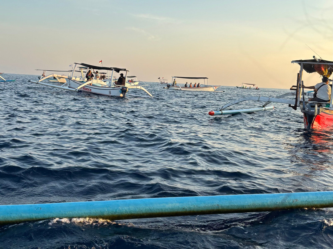 Lovina Bali Transport-新加拉惹必去景点