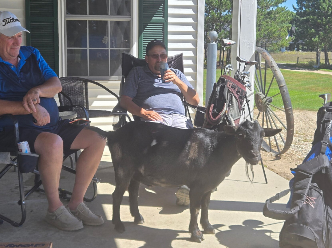 Outback Lodge and Stables主图