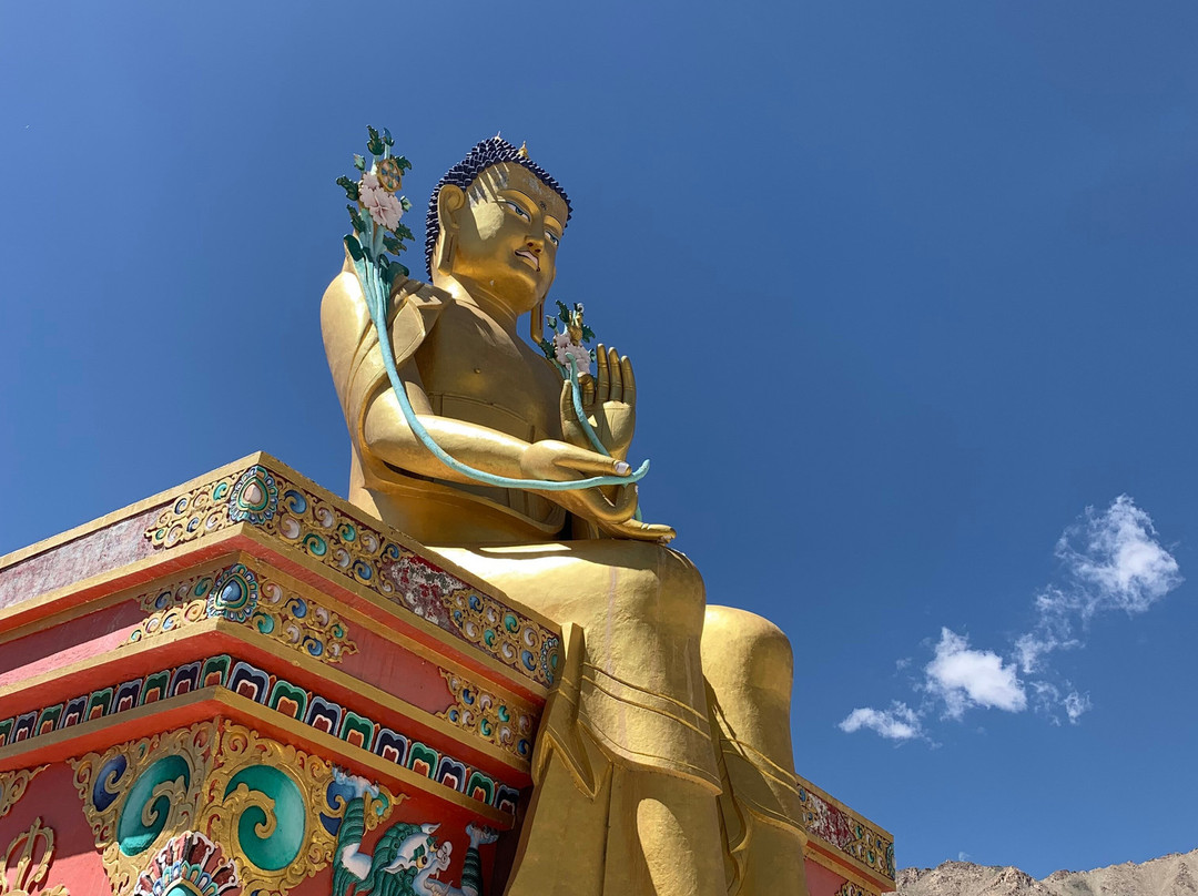 Holiday India Day Tours-新德里必去景点