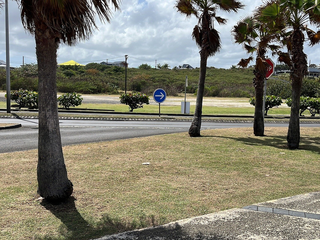 German Butterfly-Pointe-a-Pitre必去景点