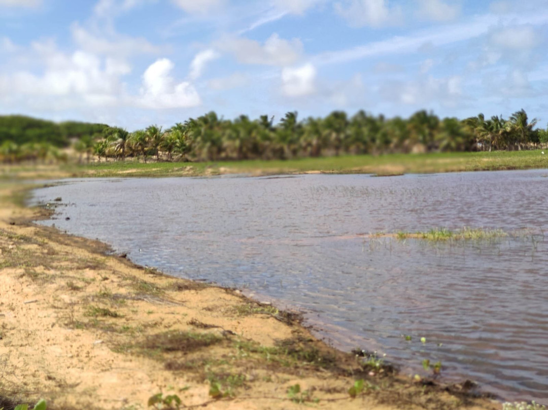 Ricardo Tuor-Piacabucu必去景点