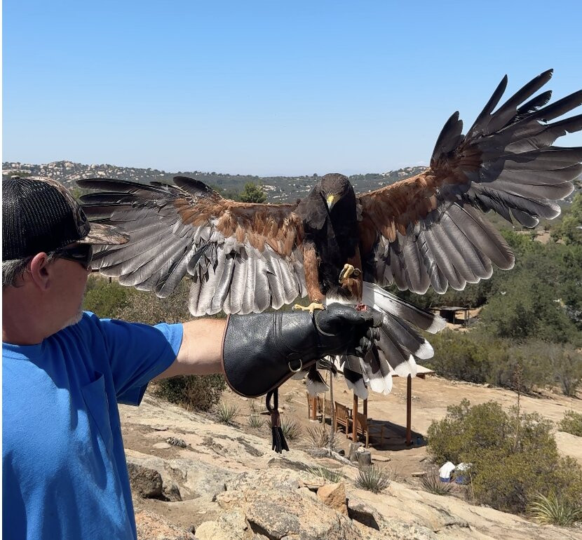 Avian Behavior International-埃斯孔迪多必去景点