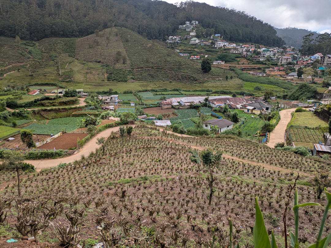Ds Kumar Tuktuk Sightseeing In Nuwara Eliya-奴娃拉伊利雅必去景点