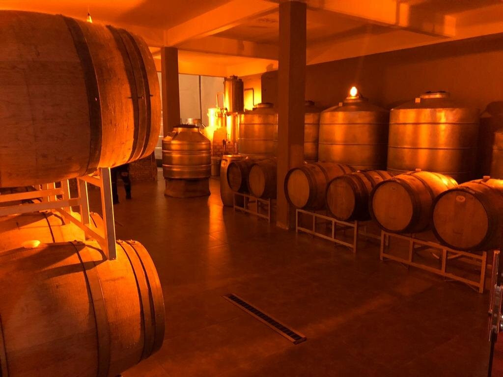 Viñedos Y Bodega Daroca