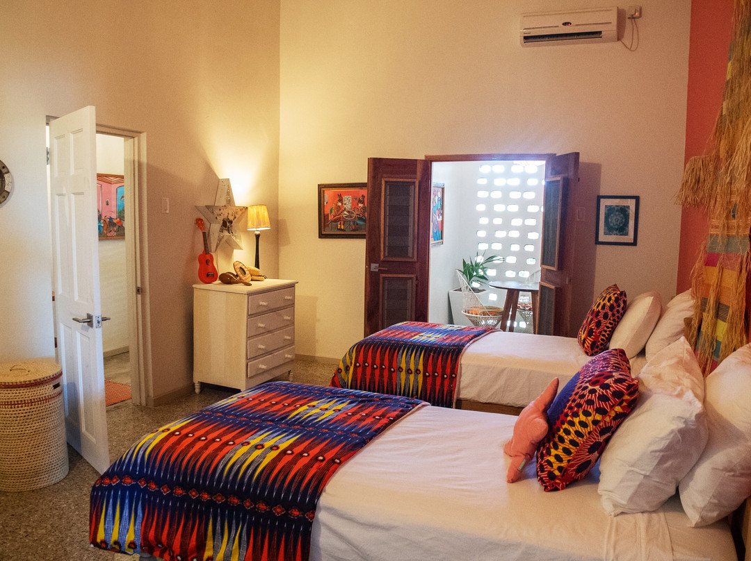 MycoMeditations Psilocybin-Assisted Retreats-瑰宝滩必去景点