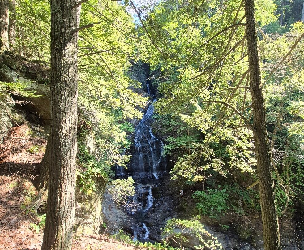 Moss Glen Falls-斯托必去景点