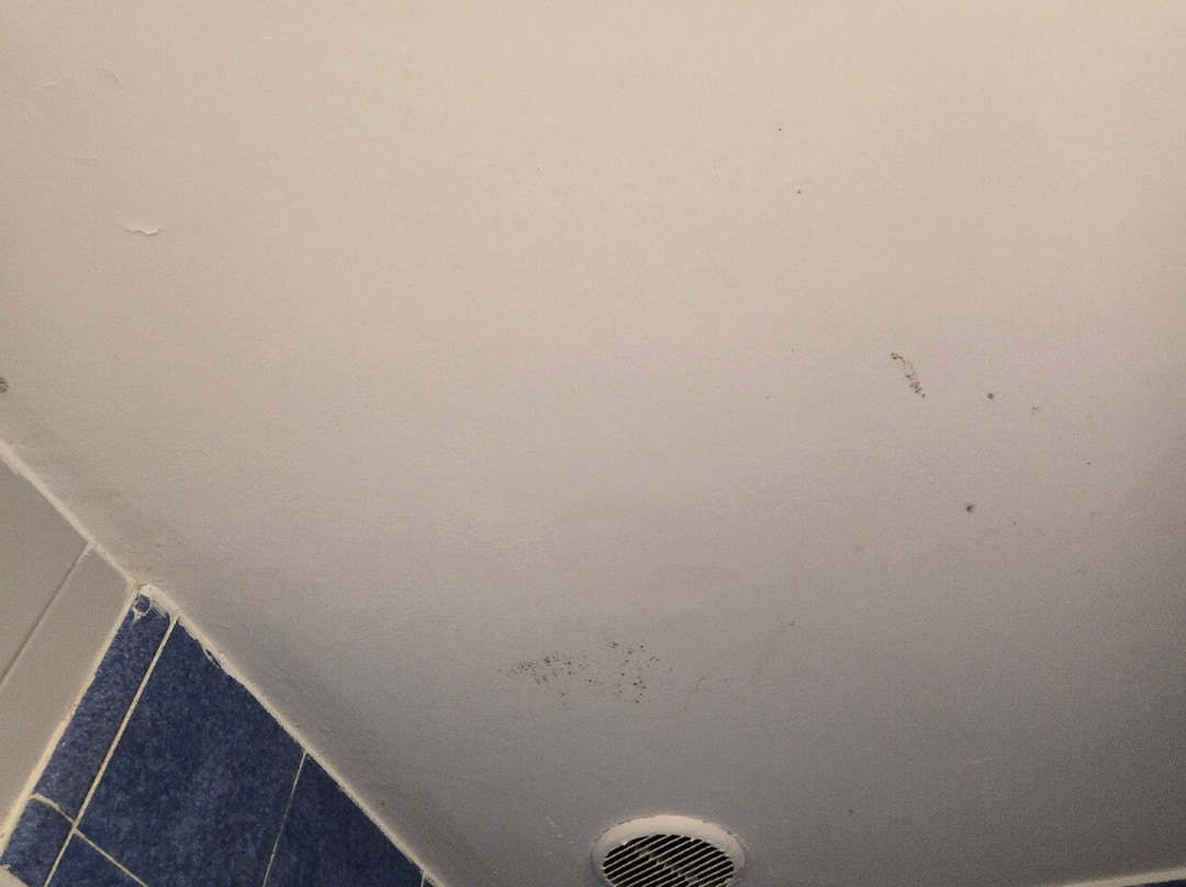 皮亚琴莎IDEA酒店集团主图