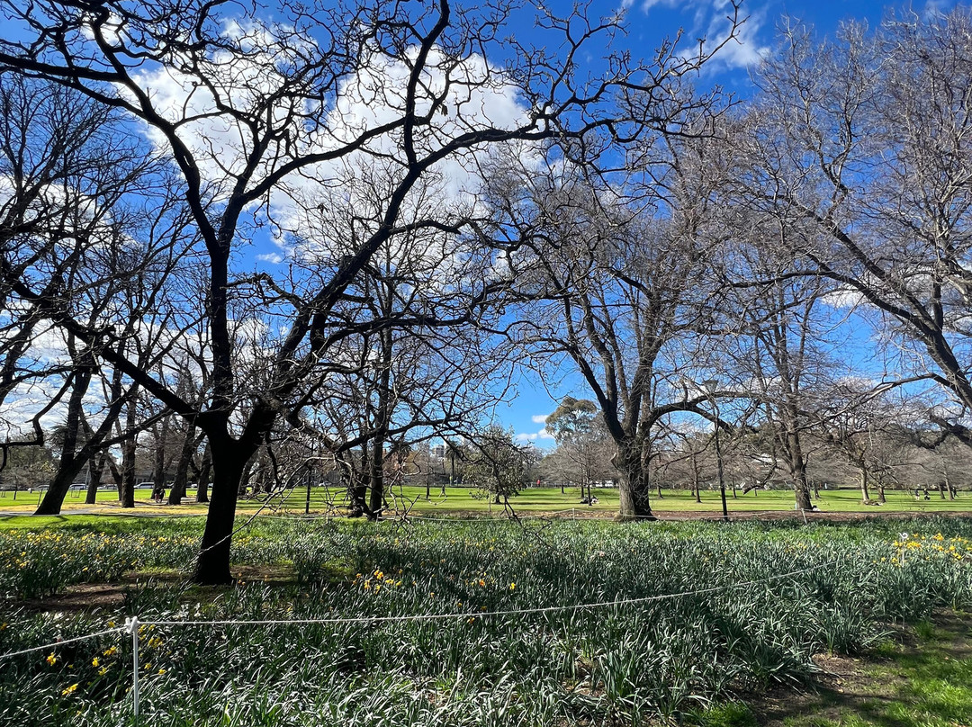 法克纳公园-South Yarra必去景点