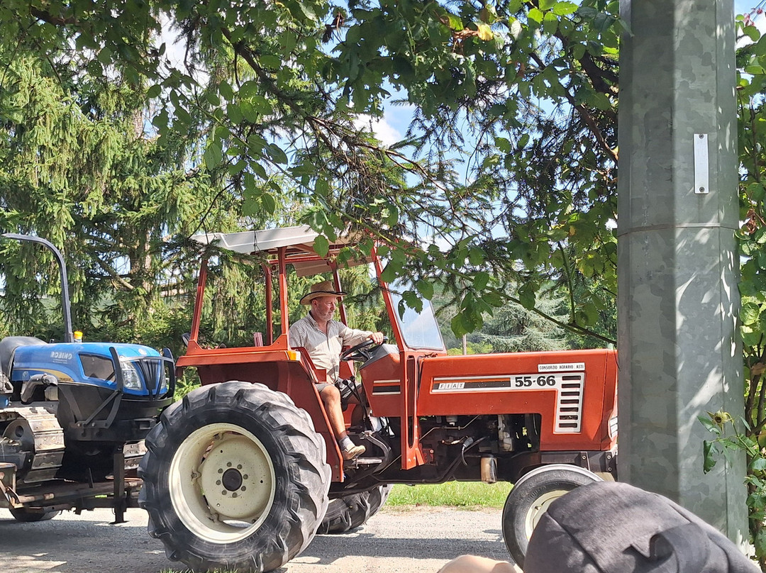 Azienda Vitivinicola Piana Armando