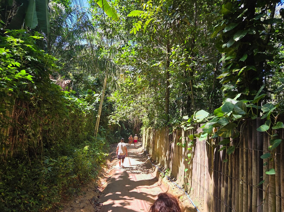 Porto Brasil Turismo-Porto Seguro必去景点