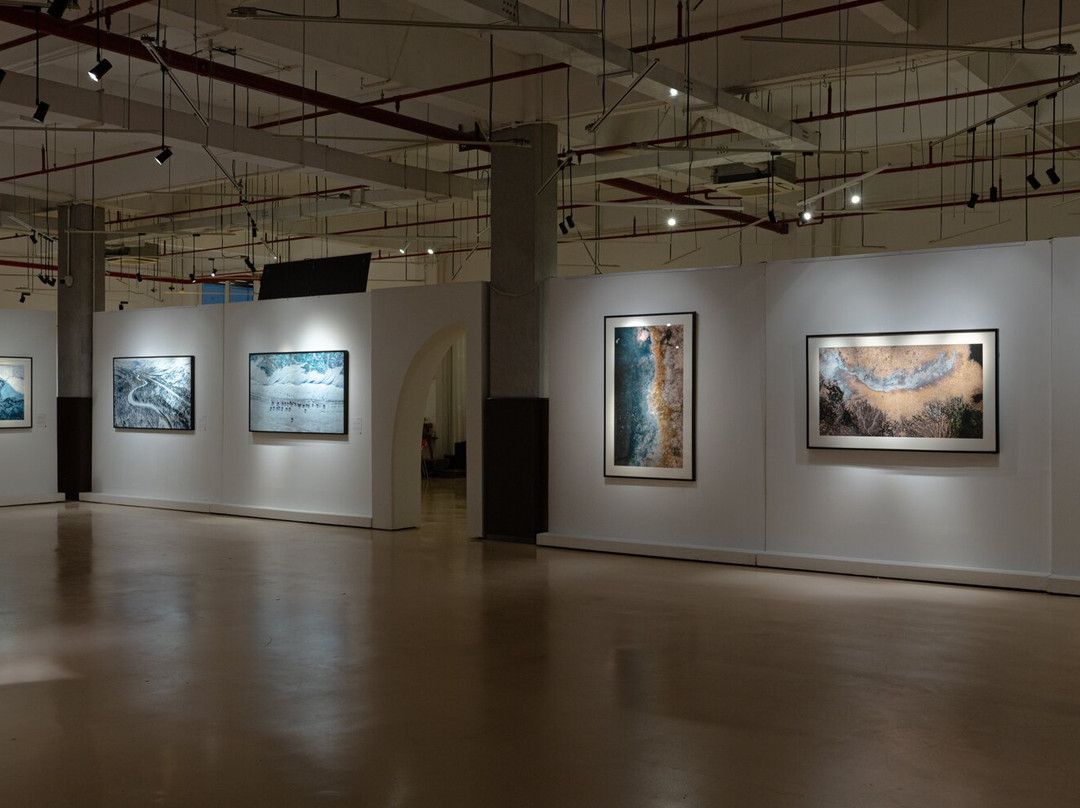 Lotus Gallery-胡志明市必去景点