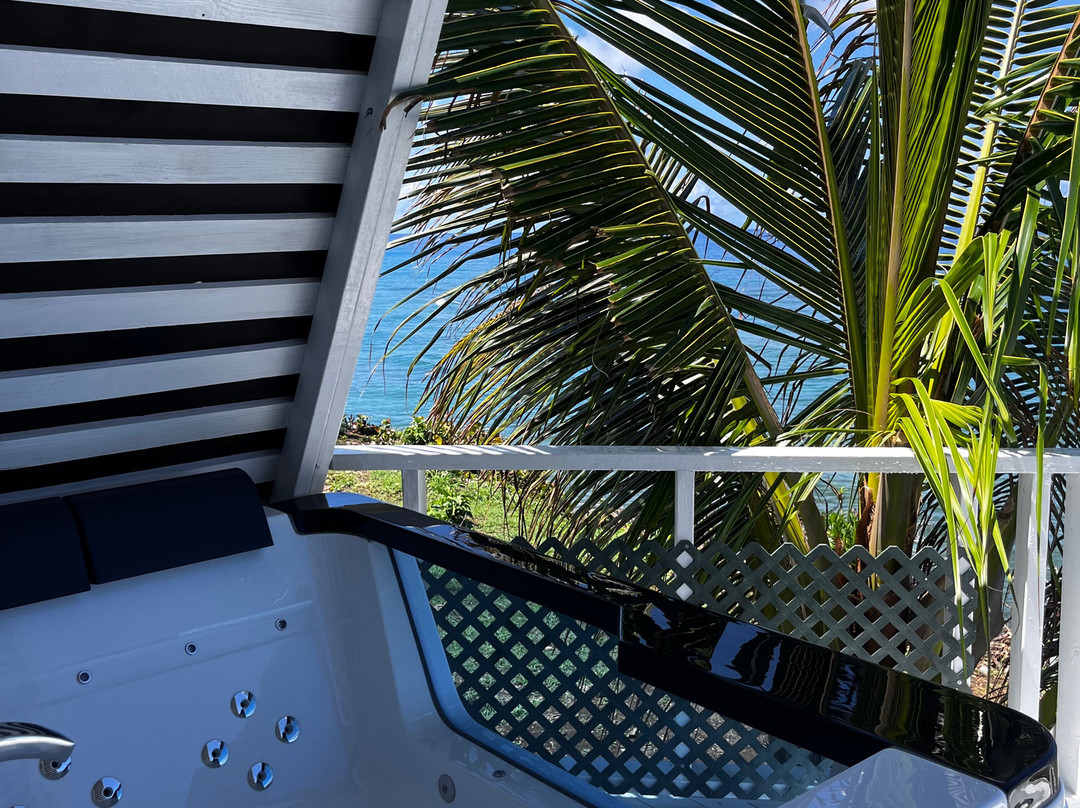 Sea Cliff Hotel主图