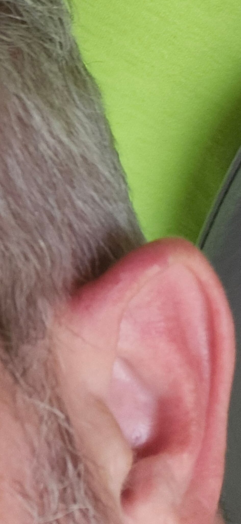 Microtel Inn & Suites by Wyndham Leesburg/Mt Dora-官方