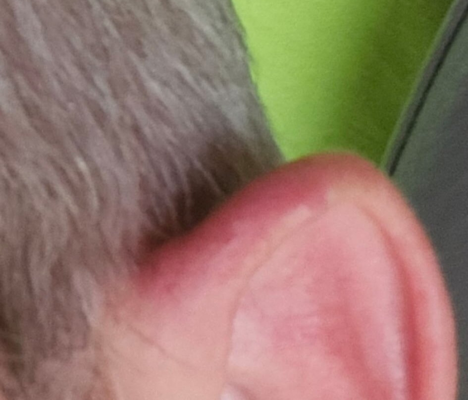 Microtel Inn & Suites by Wyndham Leesburg/Mt Dora主图