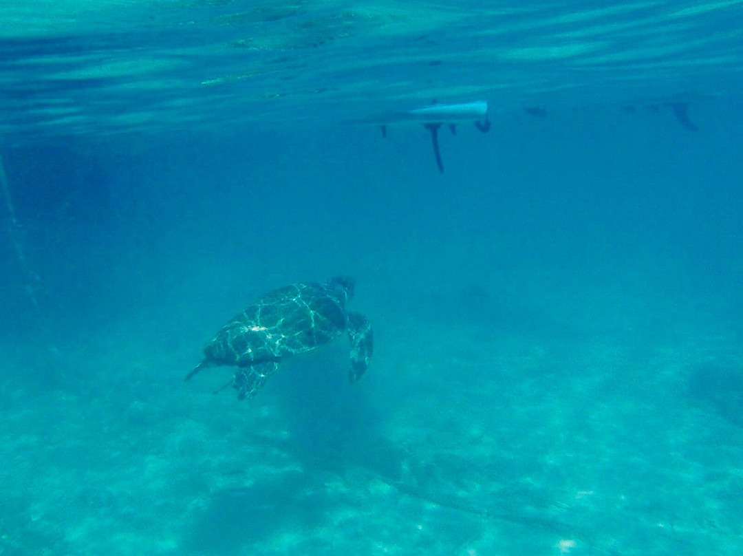 SUP Tours Paphos-Coral Bay必去景点