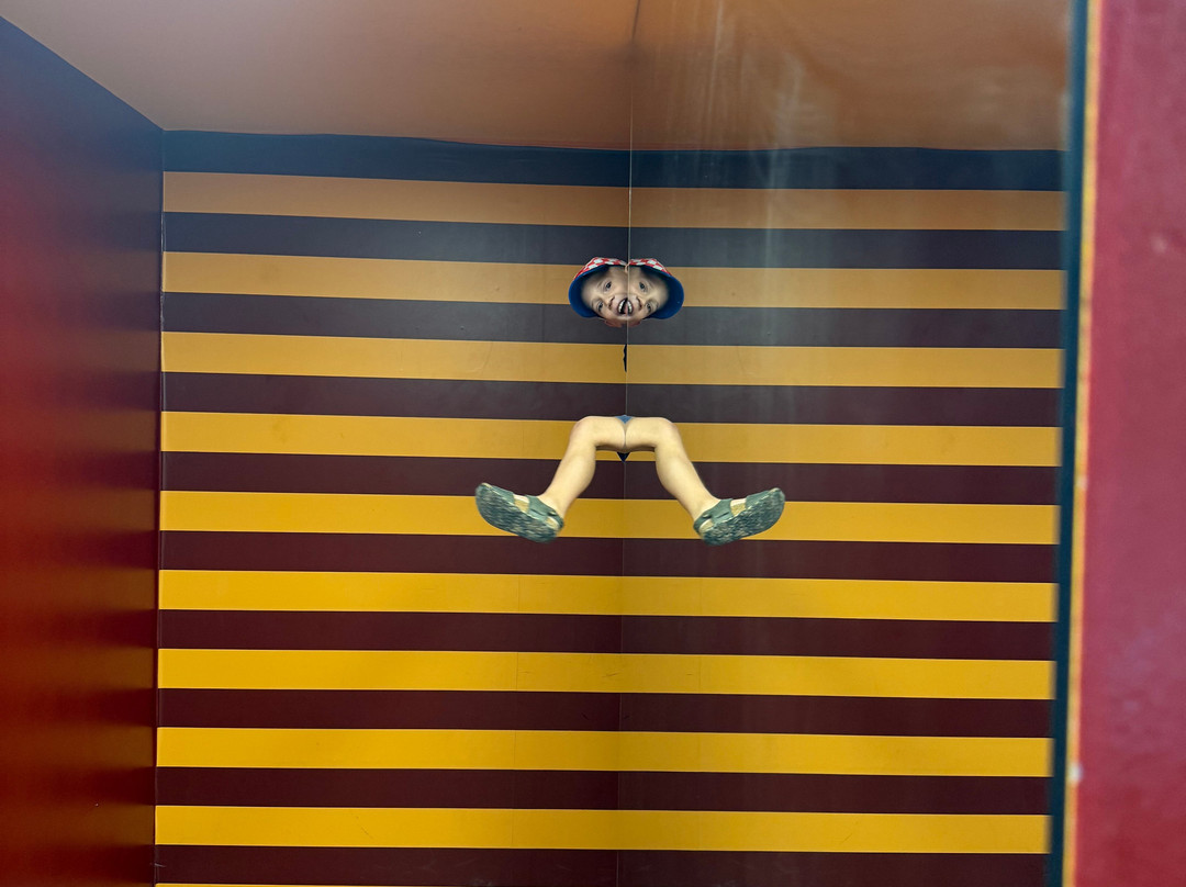 Museo Delle Illusioni Roma-罗马必去景点