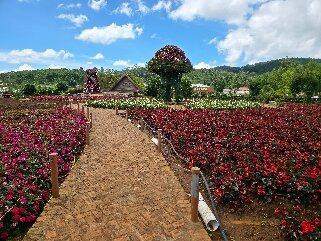 Fresh Garden-大勒必去景点