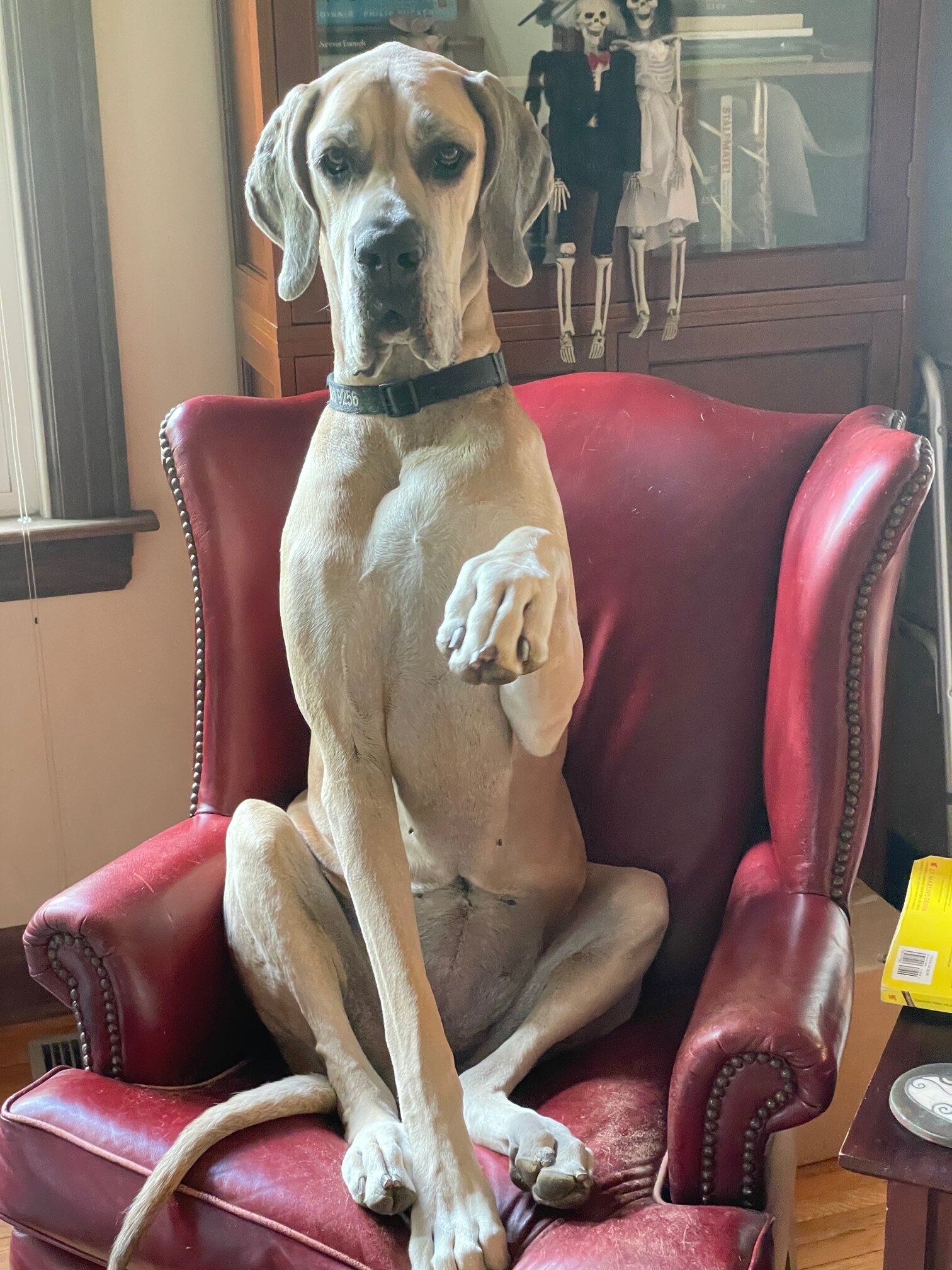 3B's Inn Bed Breakfast & Biscuits-官方