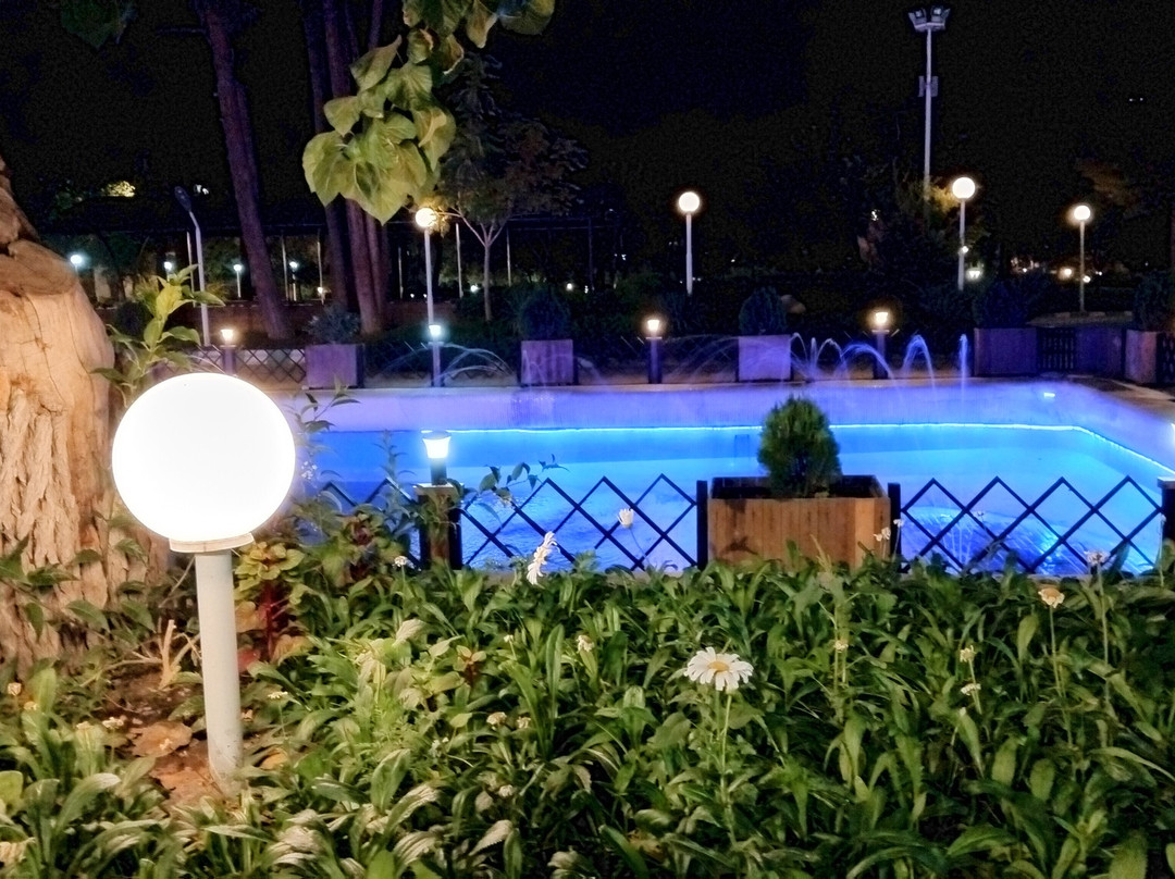 Ahmadabad Homa Hotel主图