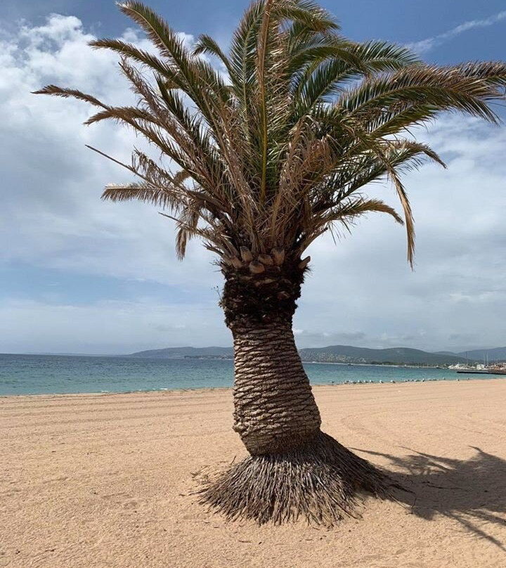 Plage de Frejus-弗雷瑞斯必去景点