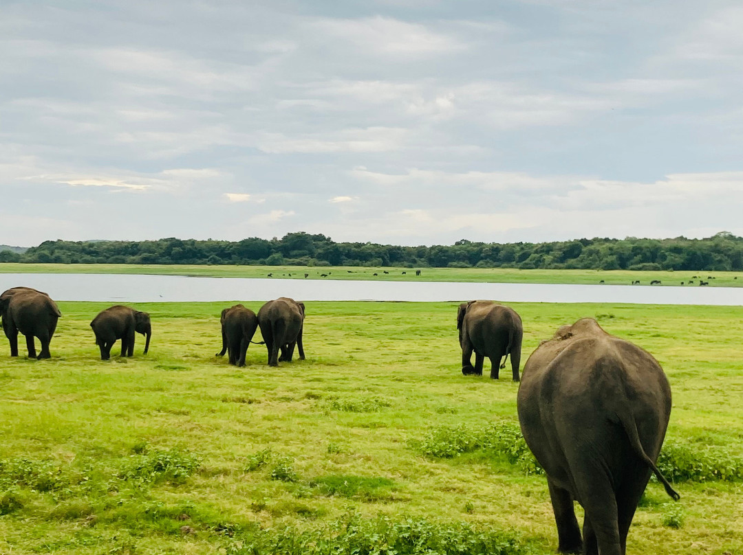 Breeze Ceylon Trails-Kekirawa必去景点