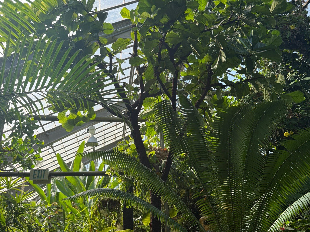 Garfield Park Conservatory & Sunken Garden-印第安纳波利斯必去景点