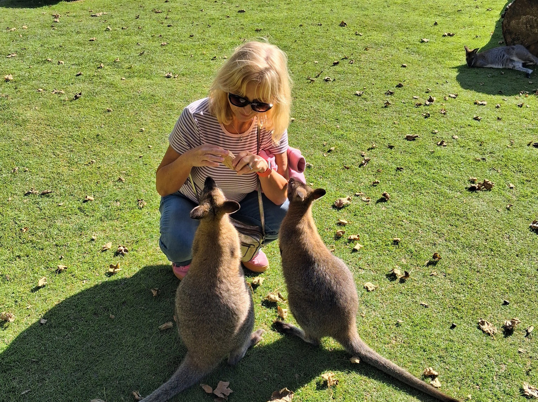 Manor Wildlife Park-St. Florence必去景点