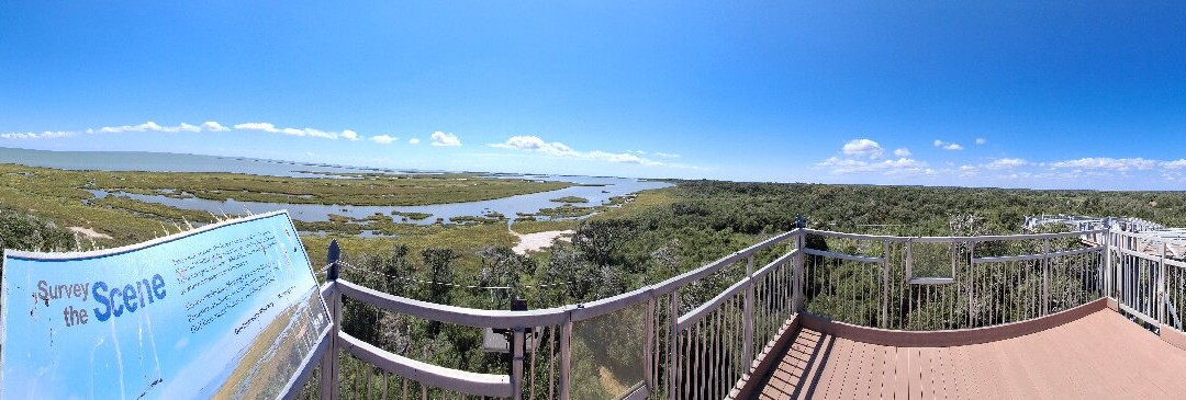 Aransas National Wildlife Refuge-Austwell必去景点