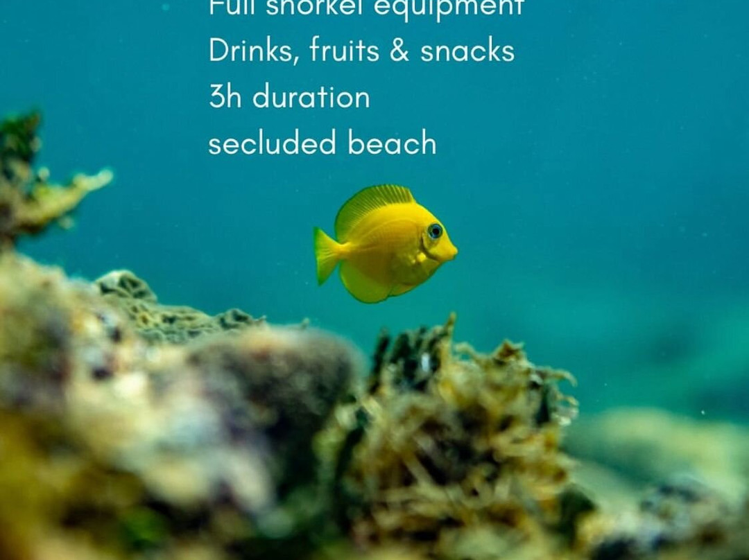 Blue Feels Caribe-Punta Uva必去景点